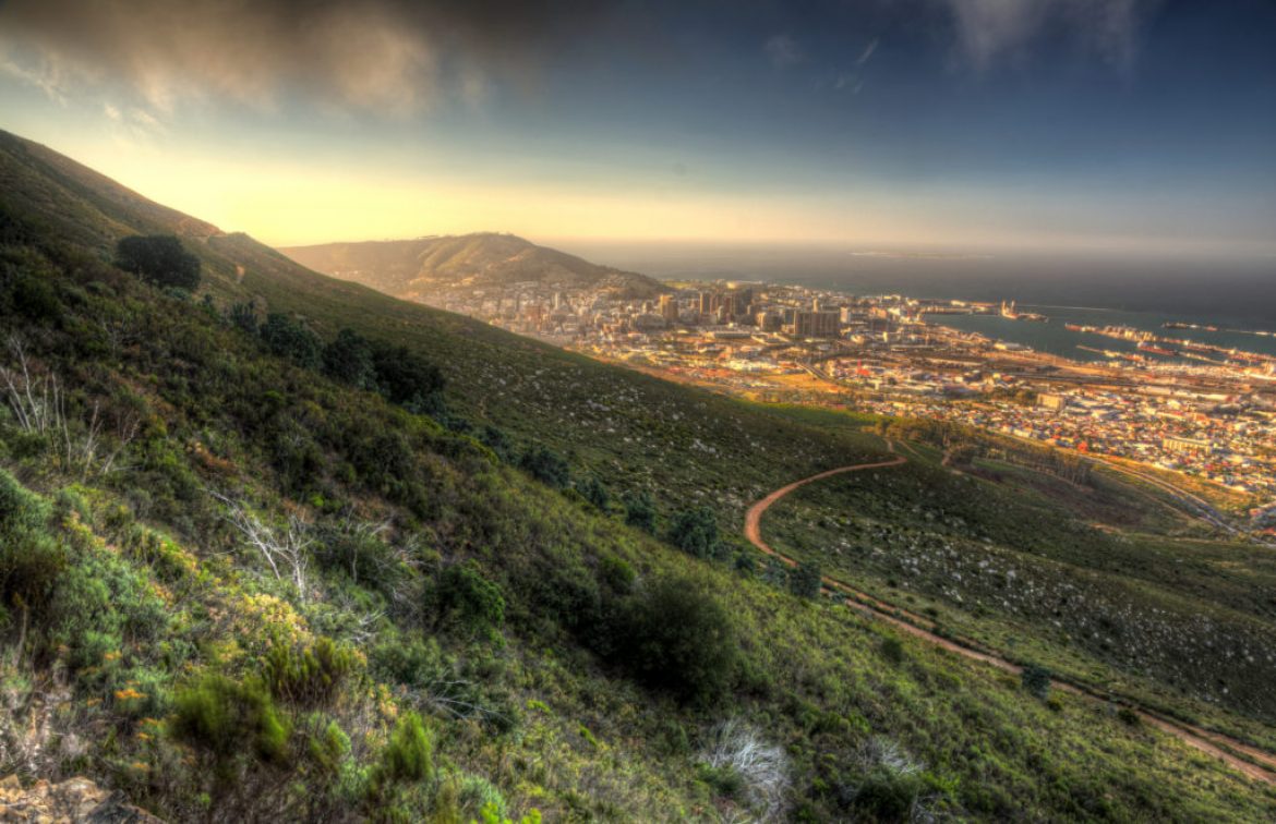 Newlands Forest to Devil’s Peak / Hitec Lima M